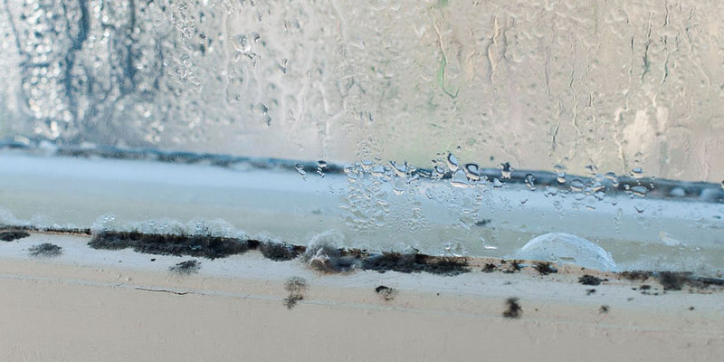 Dampness Moisture Related