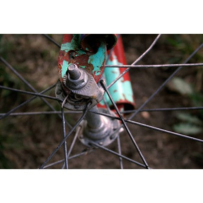 Rusty Bike