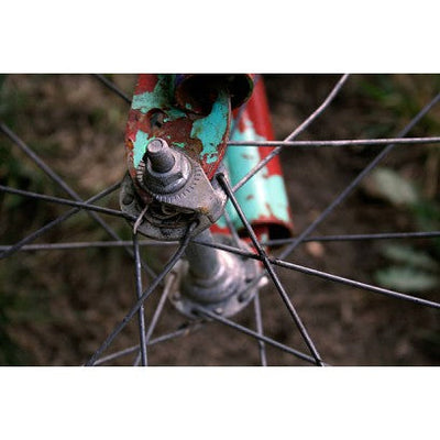Rusty Bike