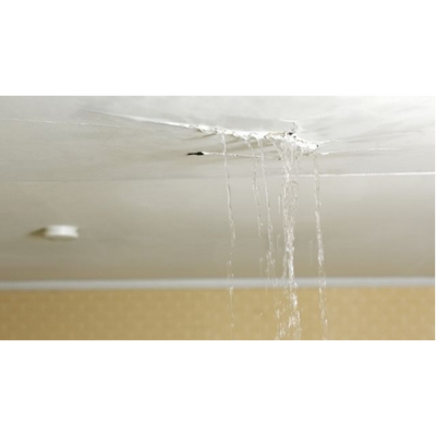 Water Penetration / Leaks / Waterproofing