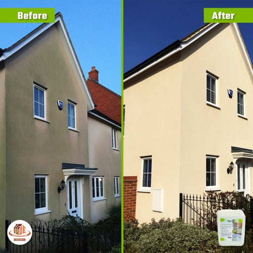 AlgoClear: Powerful Moss and Algae Remover for All Surfaces