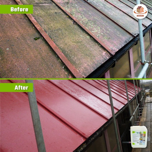 AlgoClear: Powerful Moss and Algae Remover for All Surfaces