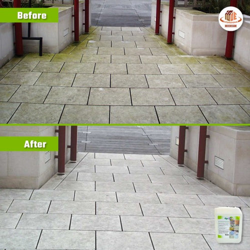 AlgoClear: Powerful Moss and Algae Remover for All Surfaces
